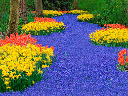 Philly flower show.jpg